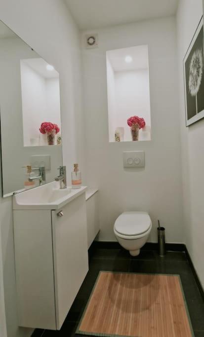 Le Cocon Du Midi - Appartement Cosy บรัสเซลส์ ภายนอก รูปภาพ